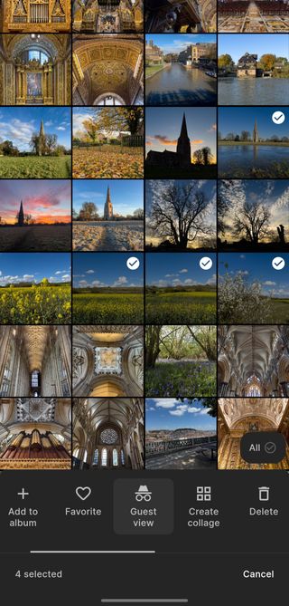 Ente's Guest view interface for multiple photo selection Ente's Guest view interface for multiple photo selection
