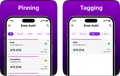 Screenshot of Pinning and Tagging
features within Auth Screenshot of Pinning and Tagging
features within Auth
