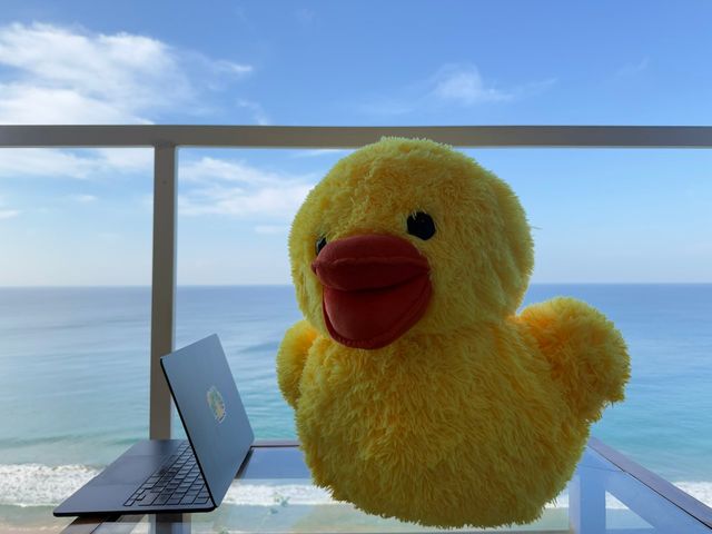 Ducky plushie – Varkala, India Ducky plushie – Varkala, India